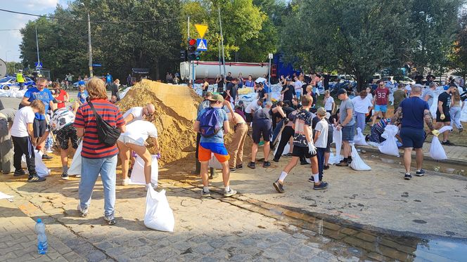 Stabłowice. Tak ratowali gołębie z działek