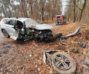 Skoda z dwiema osobami w środku uderzyła w drzewo. 4-letnie dziecko trafiło do szpitala