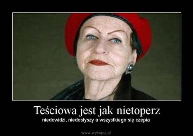 gf-WweA-SCTP-1Ysx_dzien-tesciowej-memy-o-tesciowych-zieciach-i-synowych-foto-664x0-nocrop.jpg