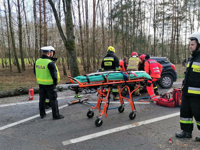 Przasnysz. Auto z kobietą i dzieckiem uderzyło w drzewo! Później spadł na nie pień! [ZDJĘCIA]