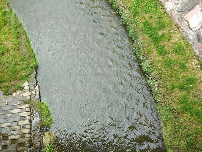 Sytuacja hydrologiczna w Tarnowie. Czy grozi nam powódź?