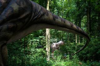 Park Dinozaurów w Malborku 