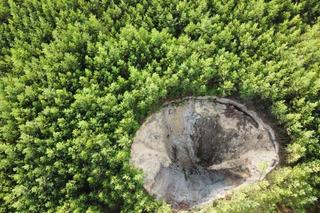 W trakcie grzybobrania zauważył gigantyczne zapadlisko. W lesie jest ich 80!