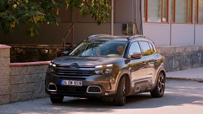 Miłość i nadzieja odc. 267. Kuzey, Bahar