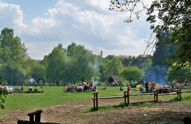 Pieczona kiełbaska bez mandatu. Gdzie rozpalić ognisko lub grilla w Warszawie? [PRZEGLĄD MIEJSC]