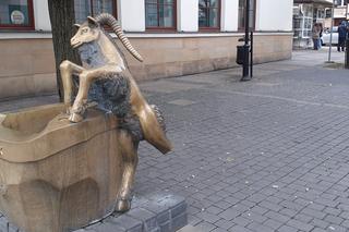 Ten koziołek nie skakał, a ma złamaną nóżkę. Co dalej z lubelskim poidełkiem? 