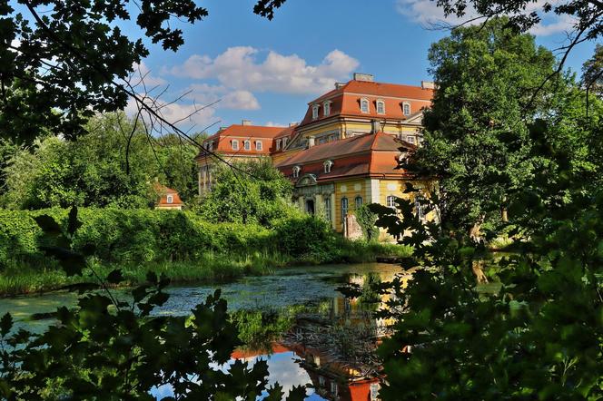 Dolnośląski zamek na wyspie wystawiony na sprzedaż. 10 milionów i pałac w Radomierzycach jest twój 