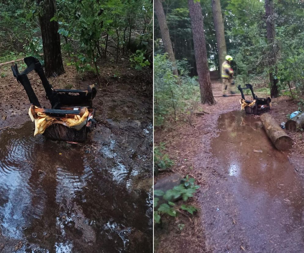 Nie mamy już siły na głupotę. Pożar w Kampinoskim Parku Narodowym