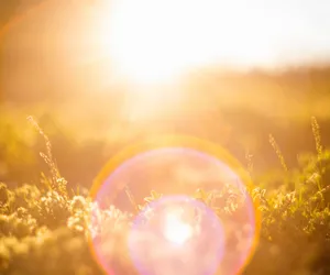 To najszczęśliwsze dni tygodnia dla znaków zodiaku. Wtedy wszystko się uda, a los będzie sprzyjać na każdym kroku