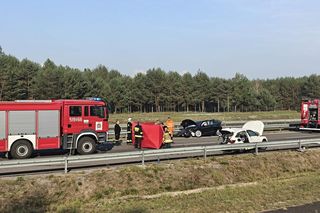 Jeżowe. Śmiertelny wypadek na S-19. Nie żyją kobieta i mężczyzna ze skody [ZDJĘCIA]