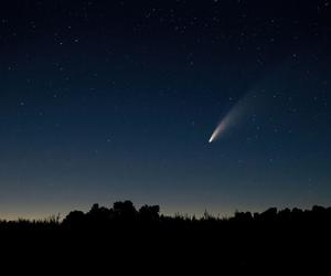 Deszcz meteorów w październiku 2023. Kiedy i gdzie można zobaczyć Drakonidy?