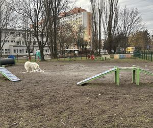 Psi park na ul. Żubardzkiej w Łodzi