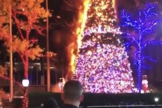 Choinka rozbłysła żywym ogniem