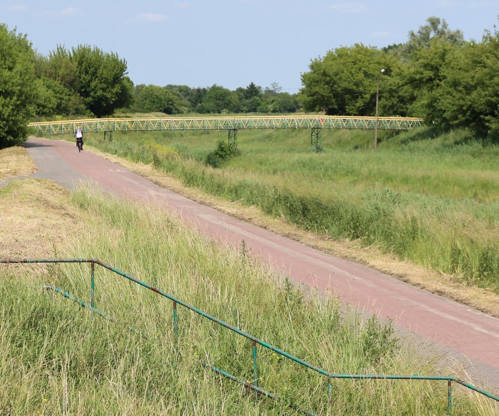 Ścieżka rowerowa nad rzeką w Lublinie