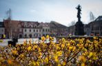 6. Powiat myślenicki