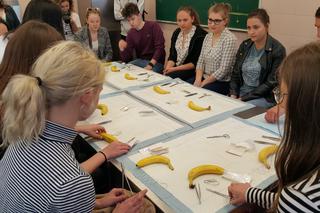 Drzwi Otwarte w Collegium Medicum UMK