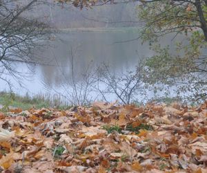 Dolina Silnicy i Zalew Kielecki jesienią