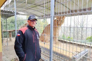 Uratował lwy i tygrysa przed śmiercią. Teraz może trafić do więzienia za znęcanie się nad zwierzętami