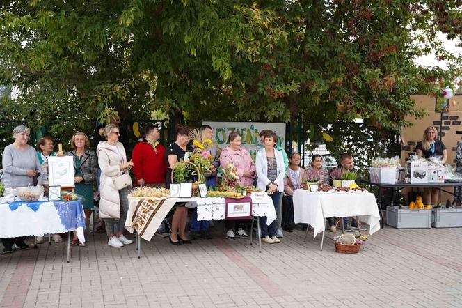 Dzień Cukinii. Integracyjne Święto Warzywa w Siedlcach