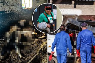 Umierały z głodu, pragnienia i w ciemności