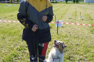 Ogólnopolskie Zawody Pies Sport i Ty 2024 w Tarnowie