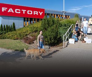  Nowe otwarcia i mocne outletowe debiuty 