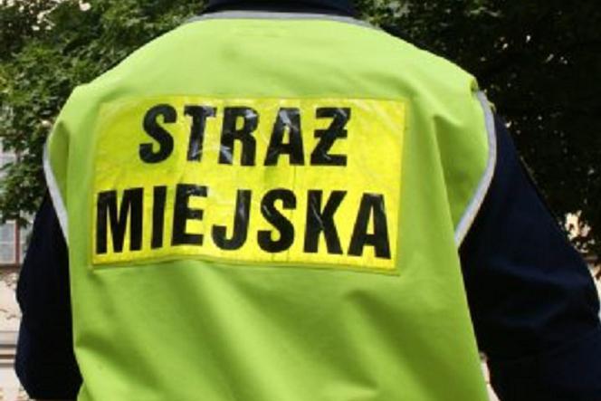 Rzeszów: Będzie protest strażników miejskich? Do prezydenta trafił anonimowy list