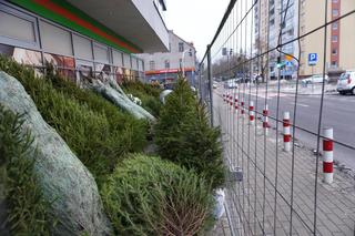 Ceny choinek w Białymstoku. Ile zapłacimy za drzewko w Podlaskiem?