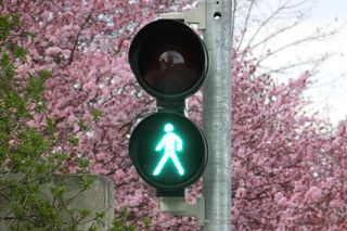 Będzie dodatkowa sygnalizacja świetlna przy ul. Warszawskiej. Miesiąc temu doszło tam do śmiertlengo wypadku. 