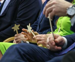 Wojewoda i różdżki.