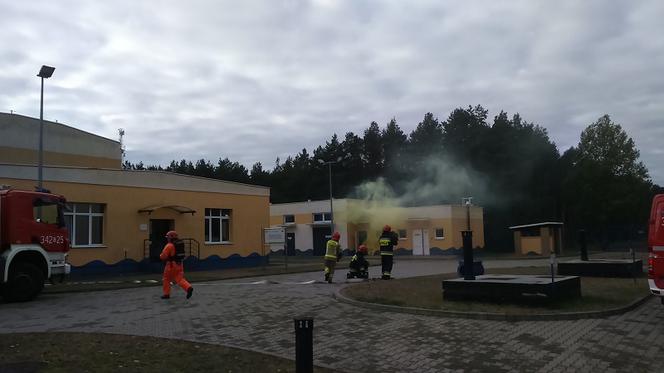 Efektowna akcja Kobra-19 pod Toruniem! Zdjęcia z działań!