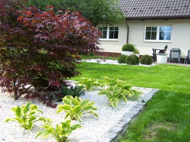 Projekt i aranżacja ogrodu. Wykonać samodzielnie czy zlecić architektowi krajobrazu?