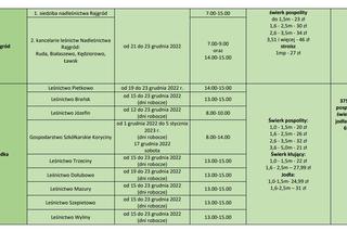Boże Narodzenie 2022. Ceny choinek w nadleśnictwach RLDP w Białymstoku. Najtańsze drzewko kupimy za 12 złotych!
