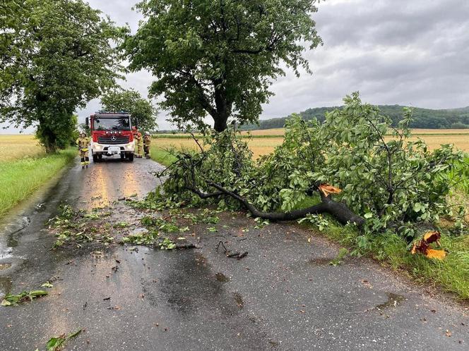 Burze i nawałnice nad Podkarpaciem. Strażacy interweniowali prawie 500 razy [ZDJĘCIA]