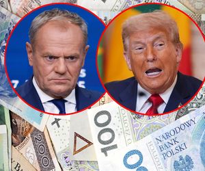 Tak Trump ograł Europę na cłach. Polska straci 8 mld zł
