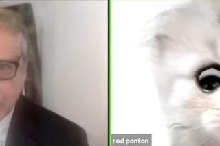  Nie jestem kotem. Sędzia zamienił się w kota