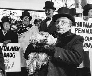 Świstak przepowiedział sześć tygodni zimy