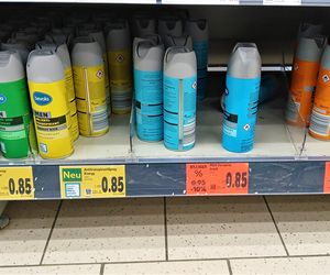 Porównanie cen w polskich i niemieckich sklepach