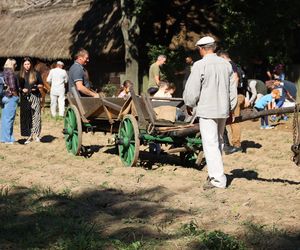 W skansenie w Lublinie pokazali, jak dawniej wyglądały wykopki kartoflane