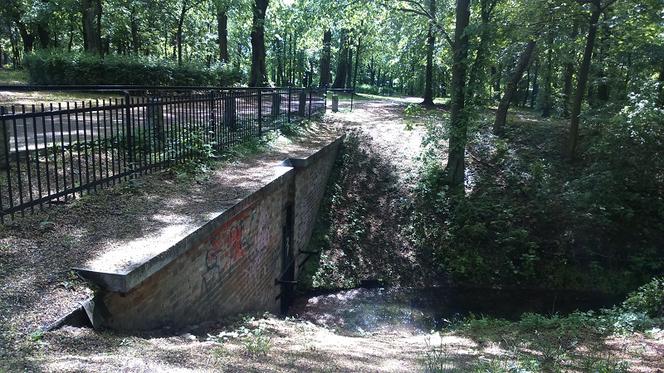 Park Tysiąclecia w Toruniu czekają spore zmiany