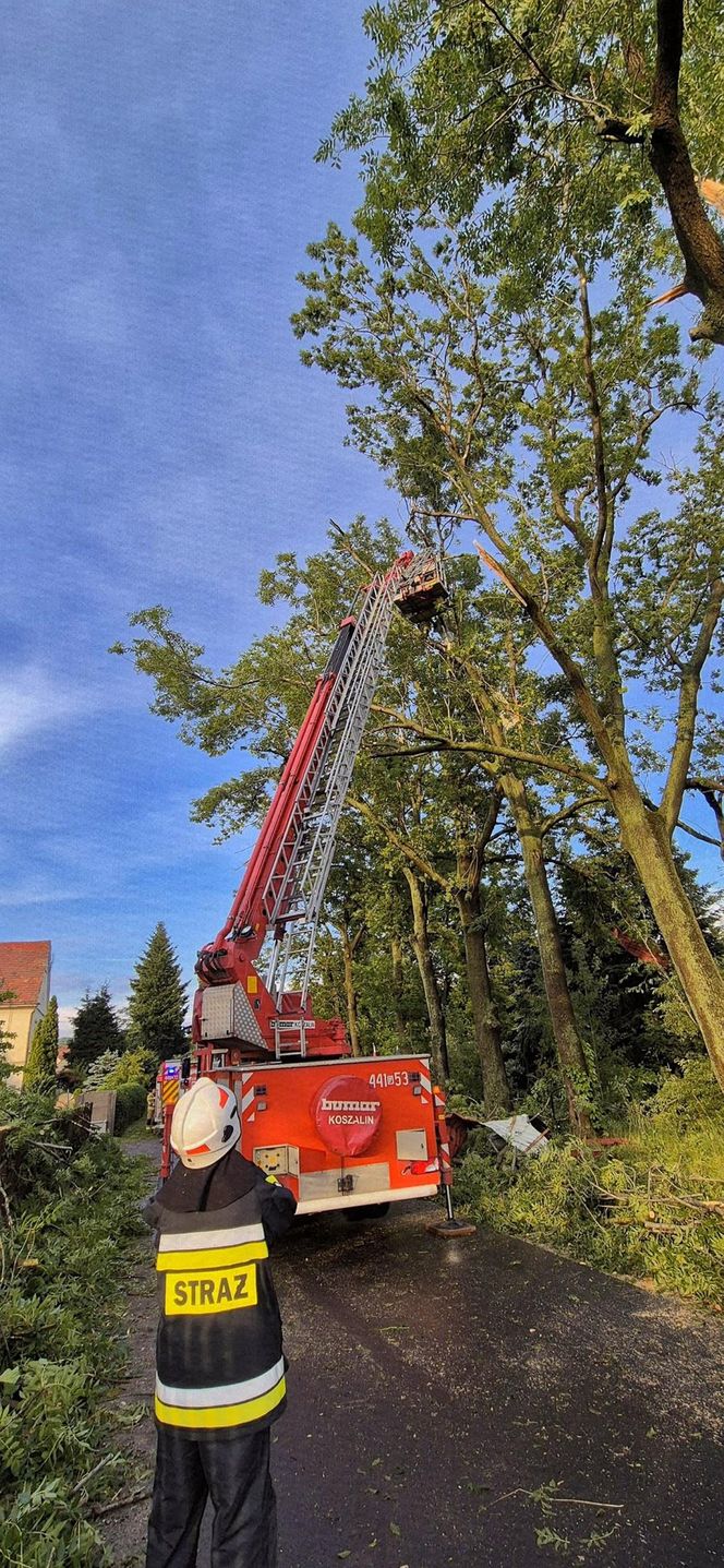 Dolnośląskie. Burze wyrządziły wiele szkód w regionie. Tak wyglądają okolice Jawora [ZDJĘCIA].