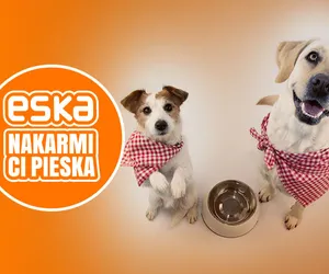 Opowiedz nam swoją psią historię i zgarnij kasę na karmę!