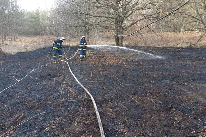 Setki pożarów suchych traw w Małopolsce 