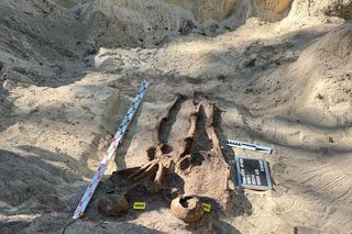 Szczątki co najmniej 18 osób na terenie jednostki wojskowej w Rembertowie. Wiadomo, kim mogą być ofiary