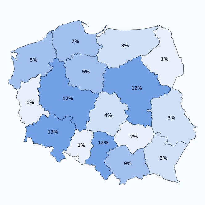 Raport branży remontowo-budowlanej 2025