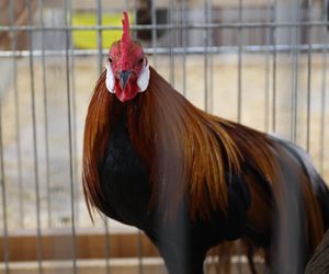 ZooPark ponownie przyciągnął do Targów Lublin tłumy miłośników zwierząt