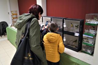 Egzotyczne ptaki w Bydgoszczy. Za nami wyjątkowa wystawa [ZDJĘCIA] 