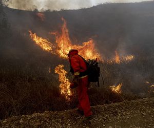 Pożary pustoszą Wschodnie Wybrzeże i Kalifornię. Jedna ofiara