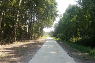 Pomost widokowy na Pogorii II w Dąbrowie Górniczej