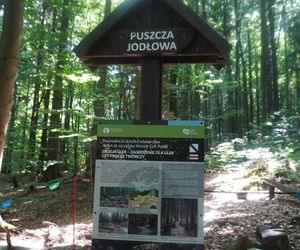 Wejście na Łysicę